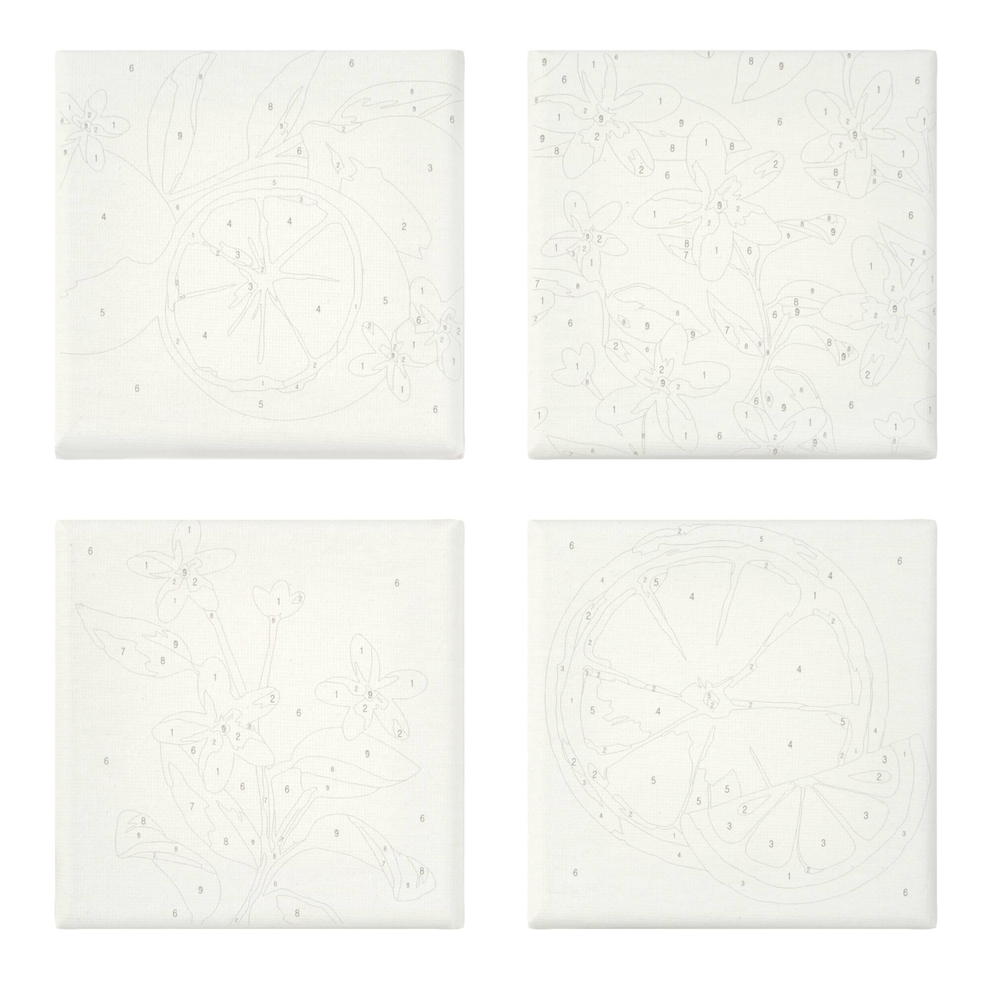 Citrus Paint-by-Number Gallery Mini Kit by Artist's Loft®